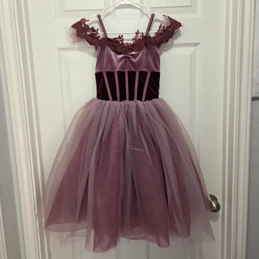 Revolution Dancewear Stretch Velvet floral-embroidered tulle Ballet Dress